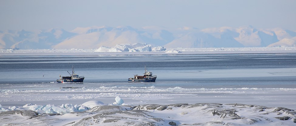 Fiskekutter Ilulissat