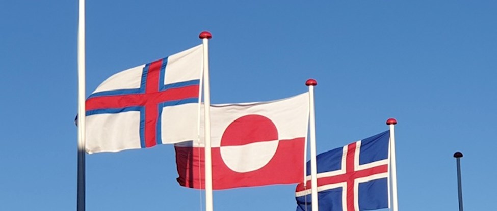 Vestnordisk Flage