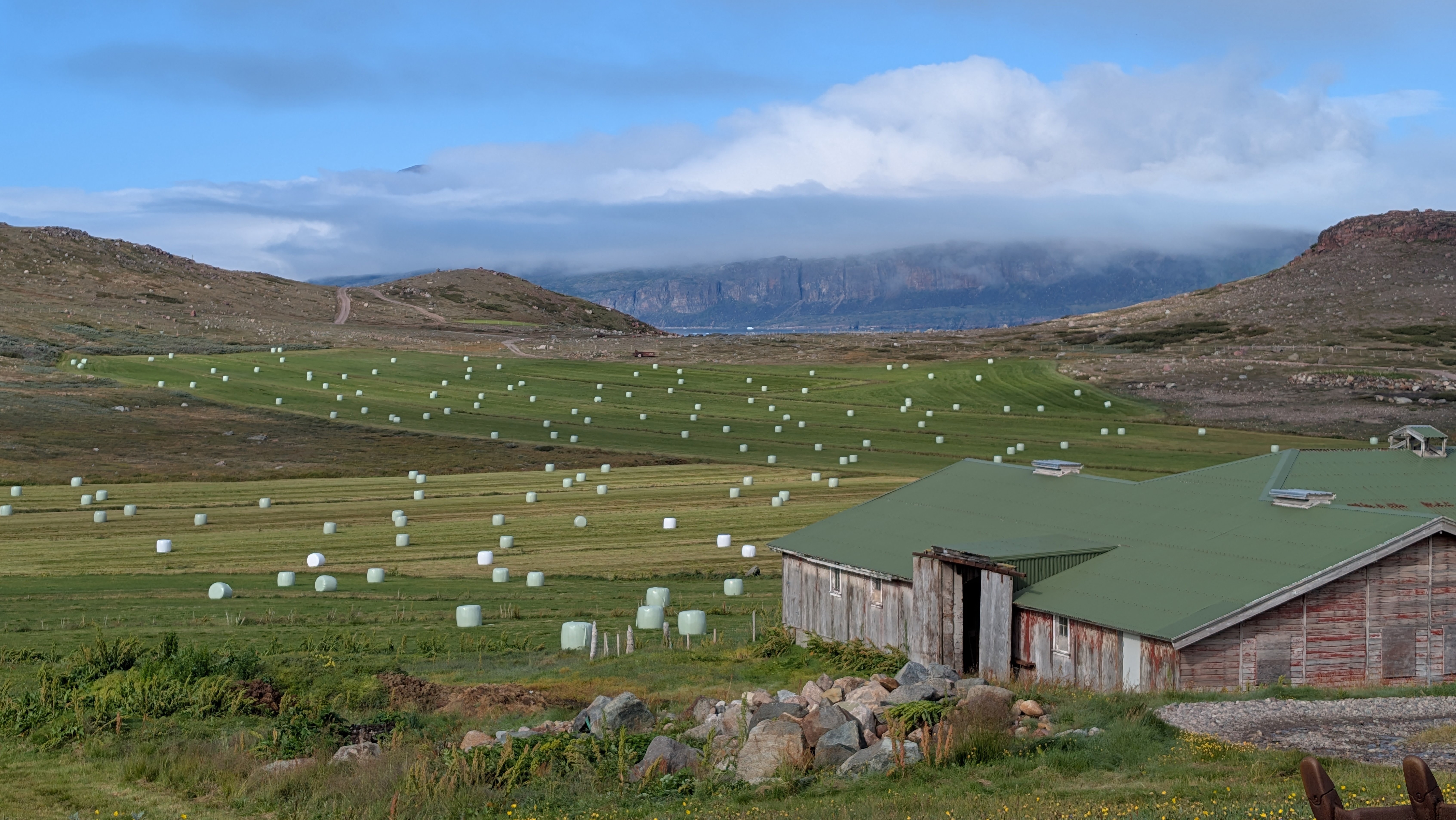 Landbrug
