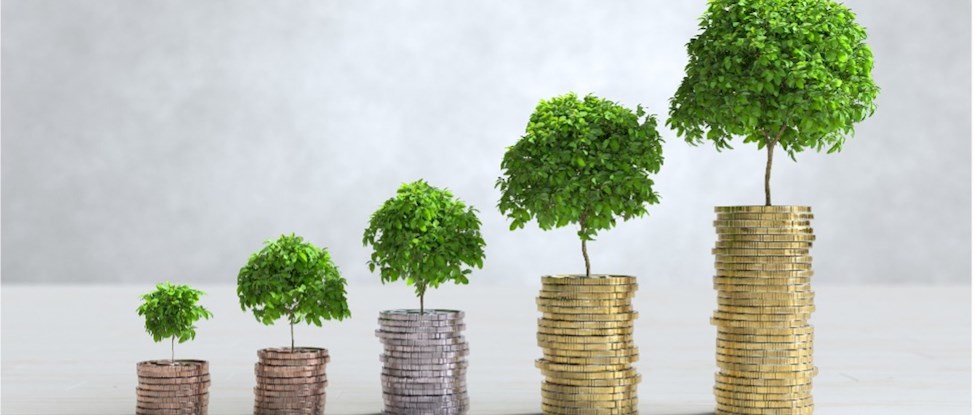 Mingutsitsinngitsumik Siuariartorneq