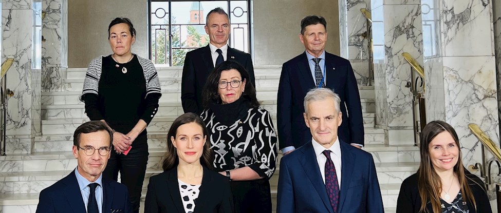 Vivian nordisk ministerråd