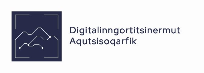 Ny National Digitaliseringsstrategi